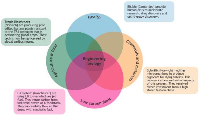 Illustration of engineering biology application areas, highlighting some of the major UK companies