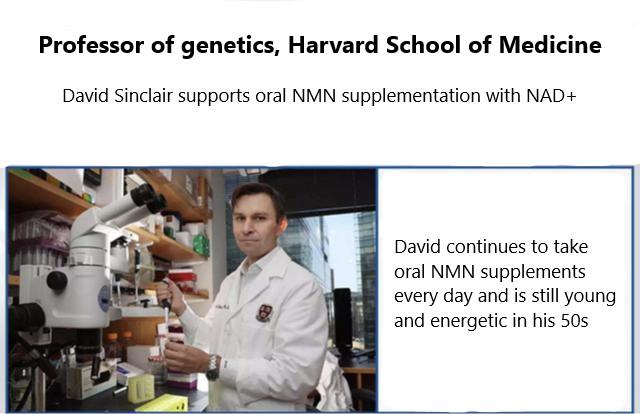 NMN inhibited tumor growth by 71.4%