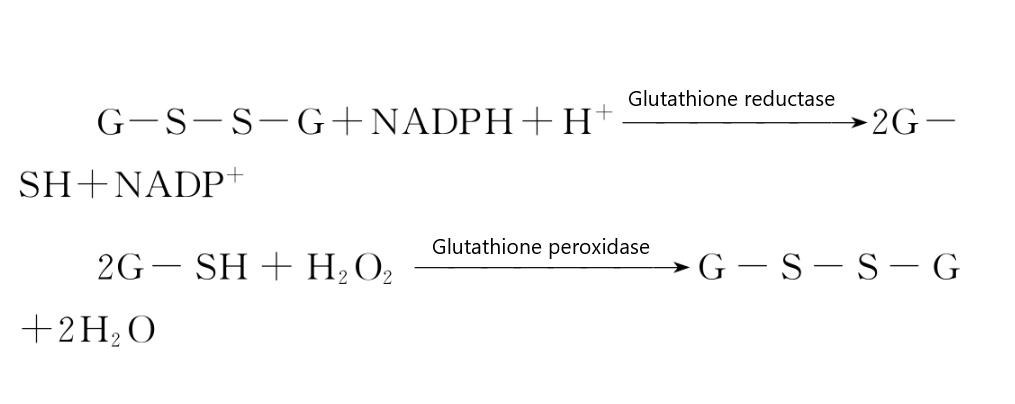 How do I get glutathione?