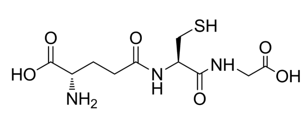 Glutathione molecular formula