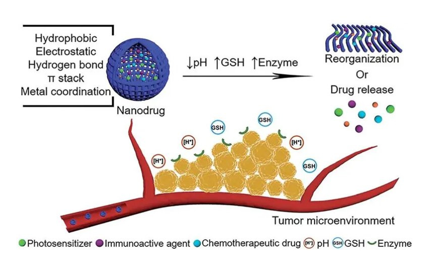 The unique structure of glutathione