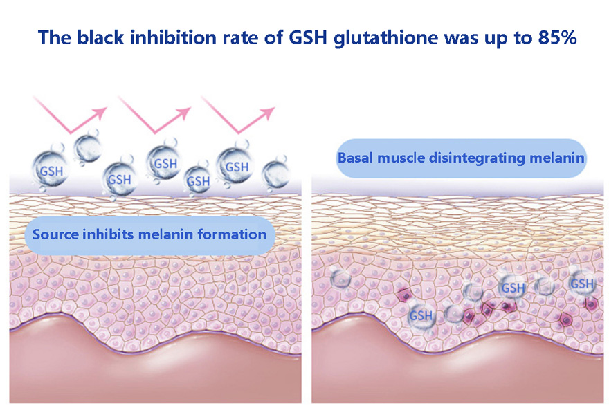 The black inhibition rate of GSH glutathione was up to 85%