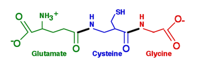 What is glutathione