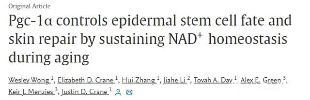 Pgc-1a controls epidermal stem cell fate andskin repair by sustaining NAD+ homeostasis during aging