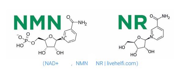 NAD+, NMN, NR