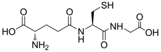 Molecular structure of glutathione