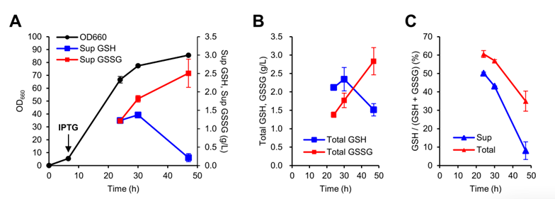 Figure 1. Glutathione production capacity of KG0A