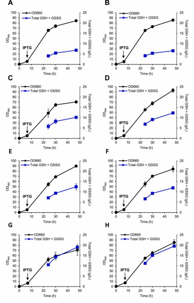 Figure 2 Genetic engineering improves glutathione production