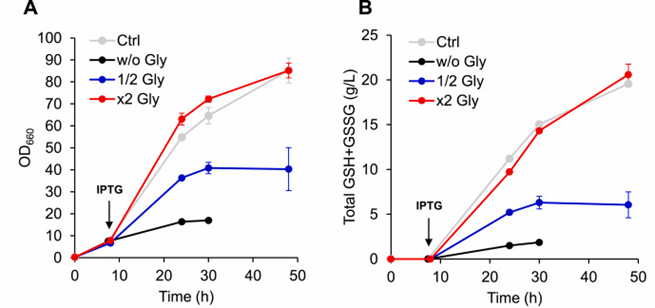 FIG. 3 Glycine plays an important role in glutathione fermentation