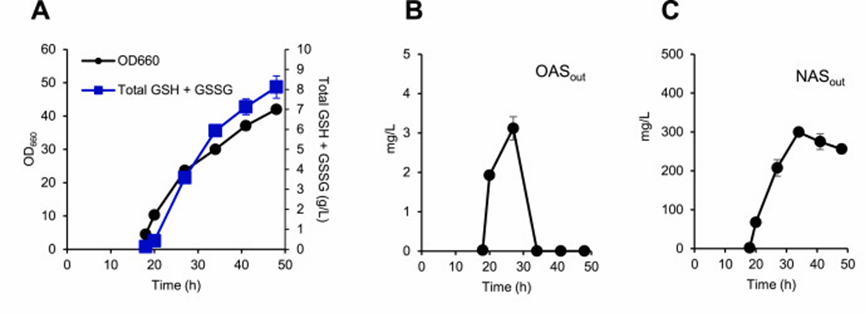 Figure 5 Metabolomics analysis of KG06 strains cultured in a 200 mL bioreactor