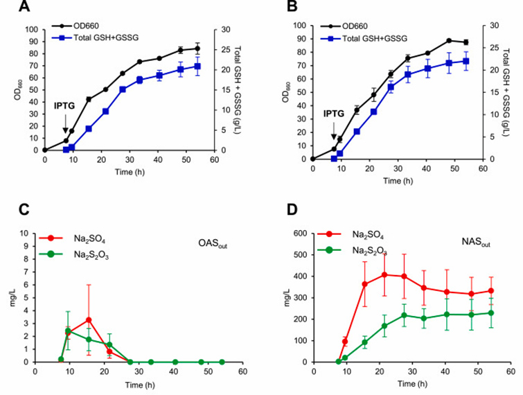 Figure 6 KG06 was cultured using sodium sulfate (A) or sodium thiosulfate (B) in a 5 L bioreactor